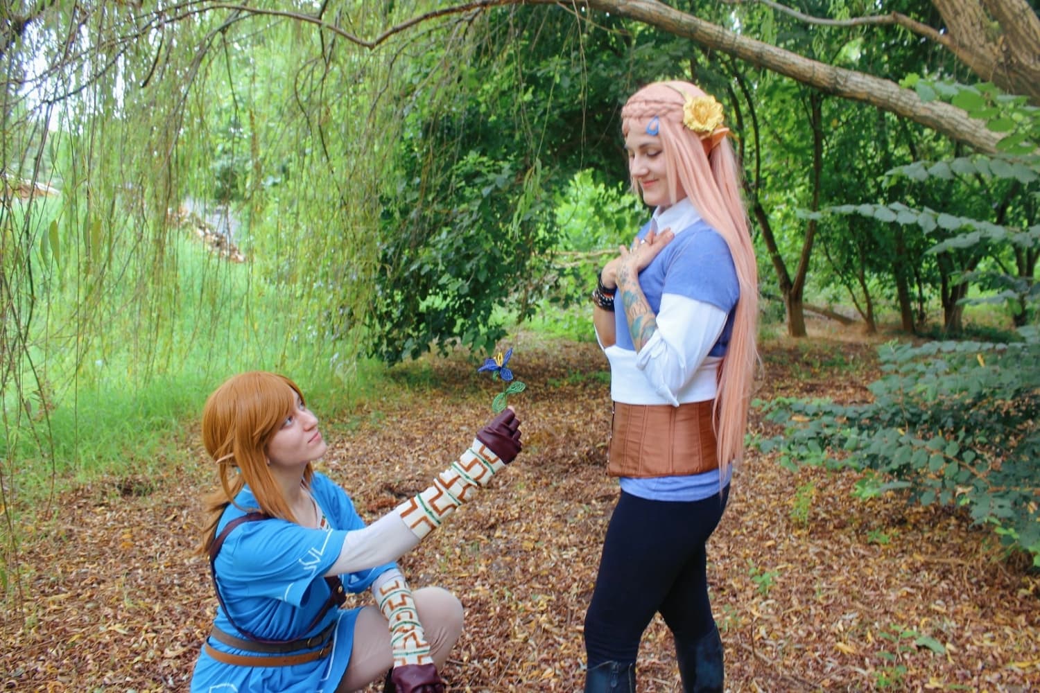 Link (Botw) - Photo 8