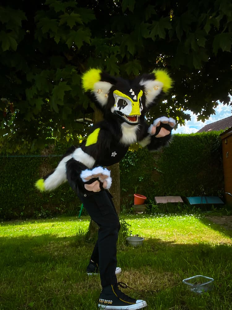 Photos Félix - Photo 3