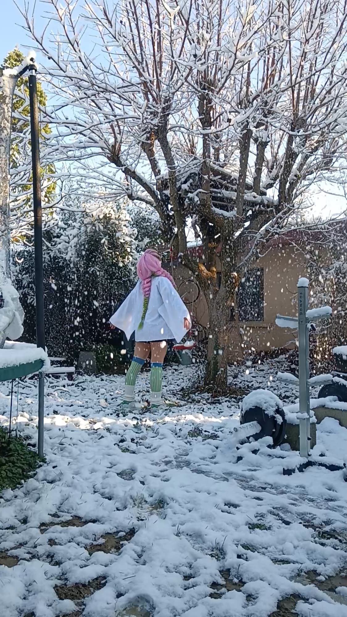 Mitsuri Kanroji - Photo 43