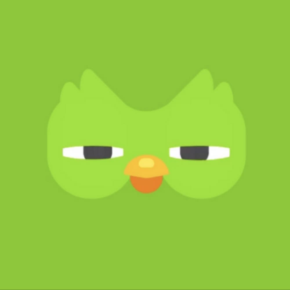Duolingo 