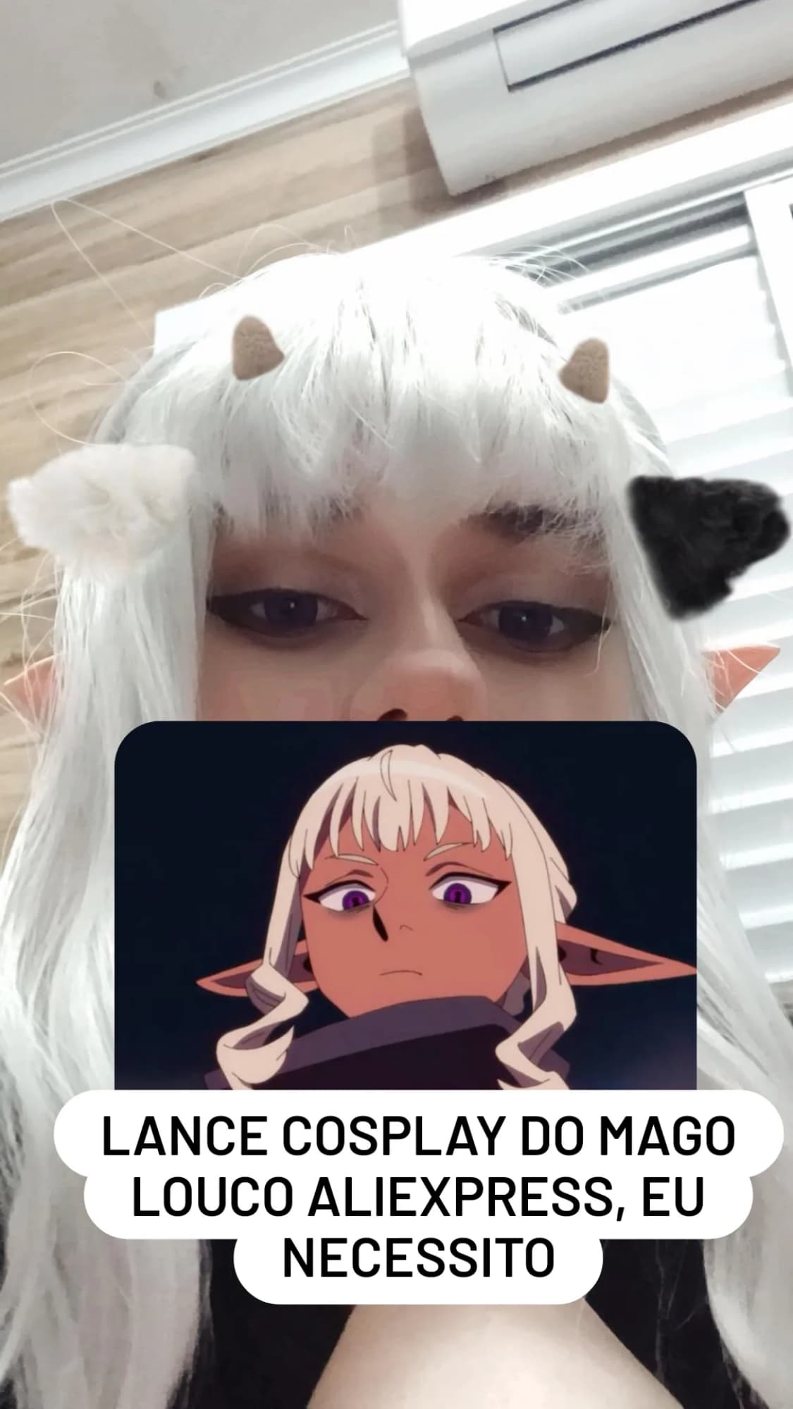 Thistle 2025 - Photo 14