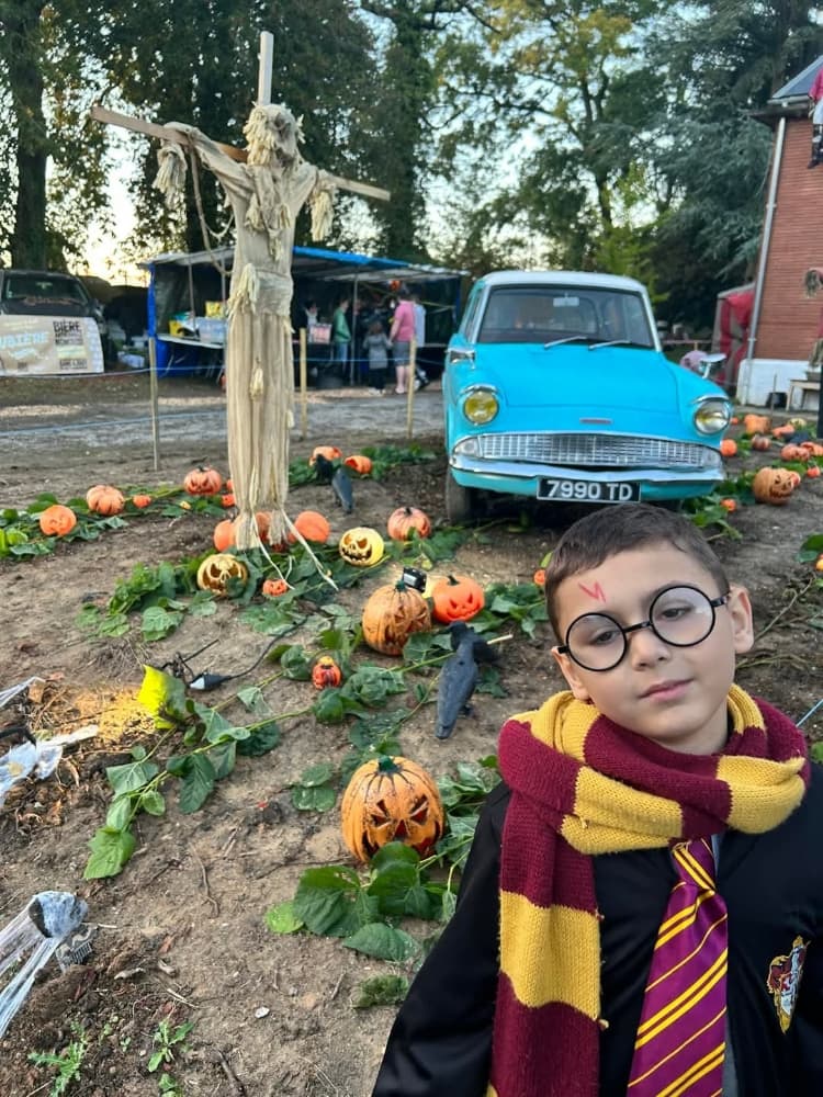 Harry potter  - Photo 4