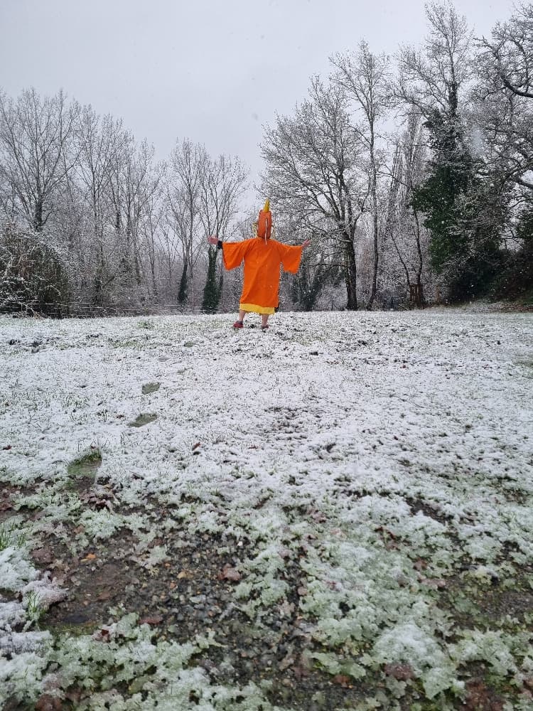 Moinegi n'a pas froi - Photo 3