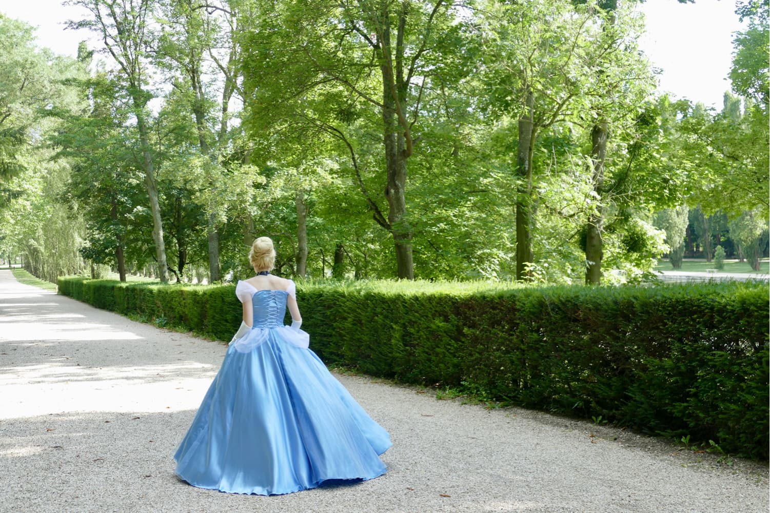 Cendrillon - Photo 40