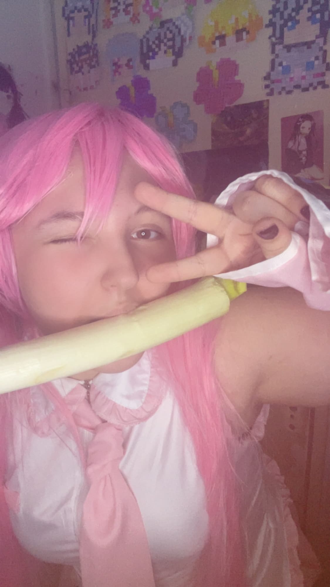 Sakura miku  - Photo 8