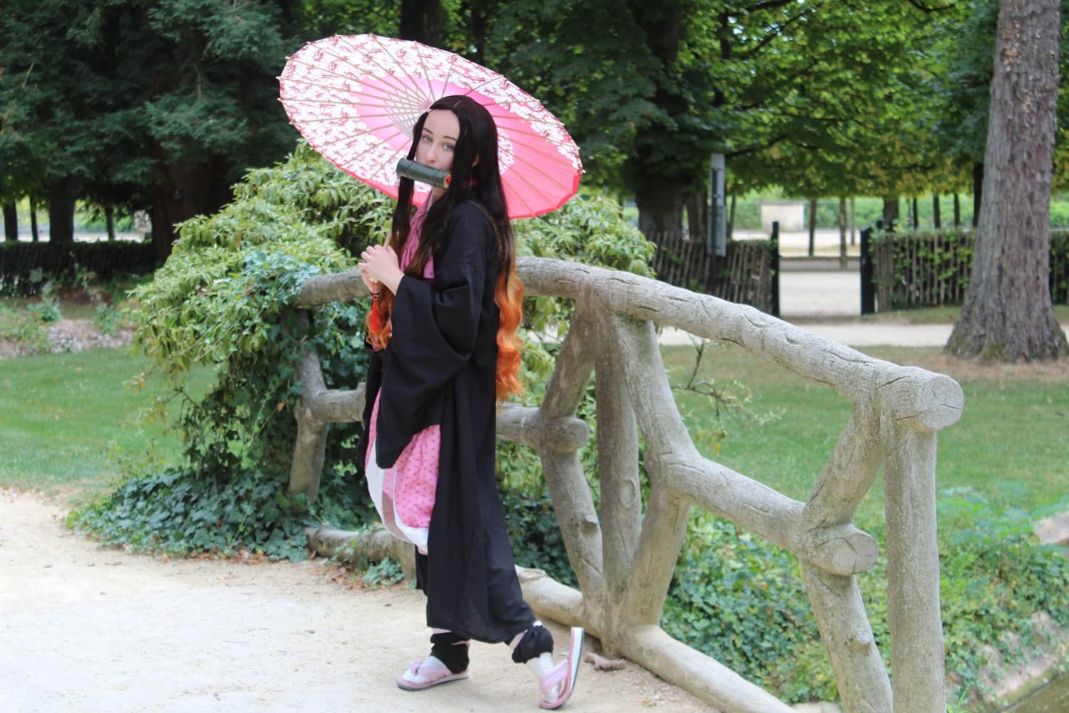 Nezuko  - Photo 1