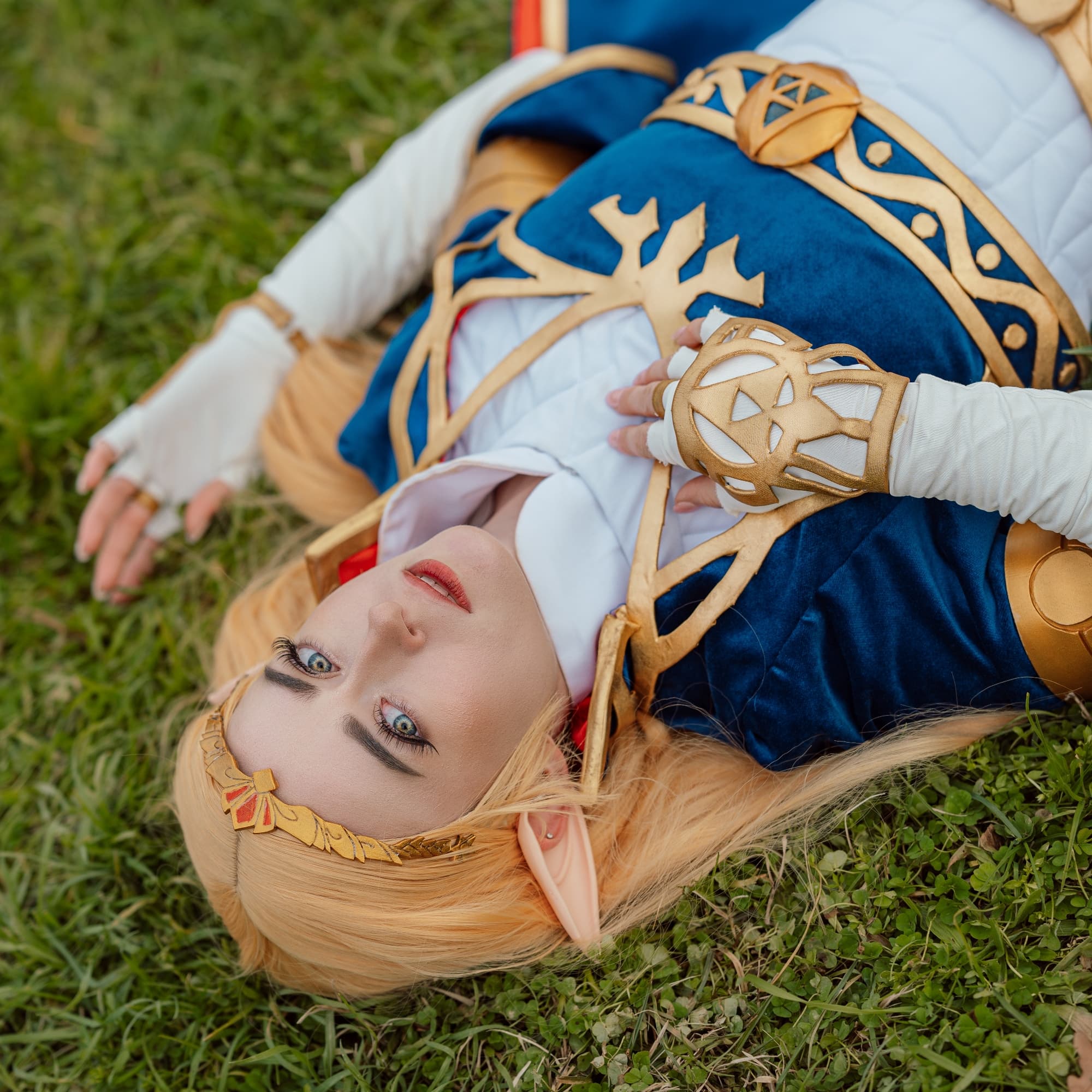 Zelda Royal Dress