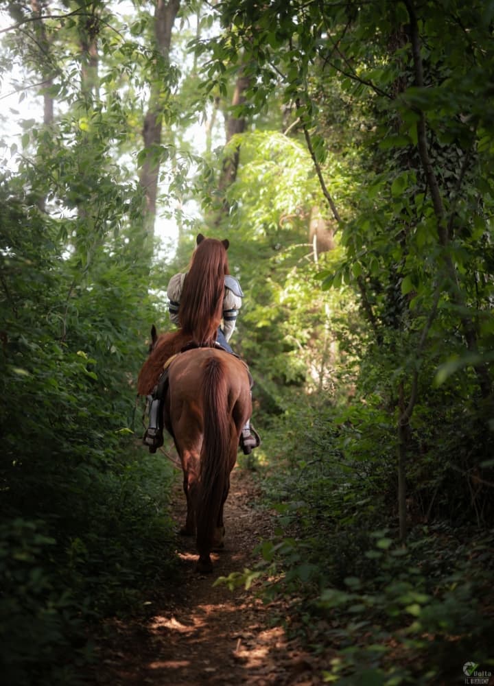 Volta - Raphtalia - Photo 4