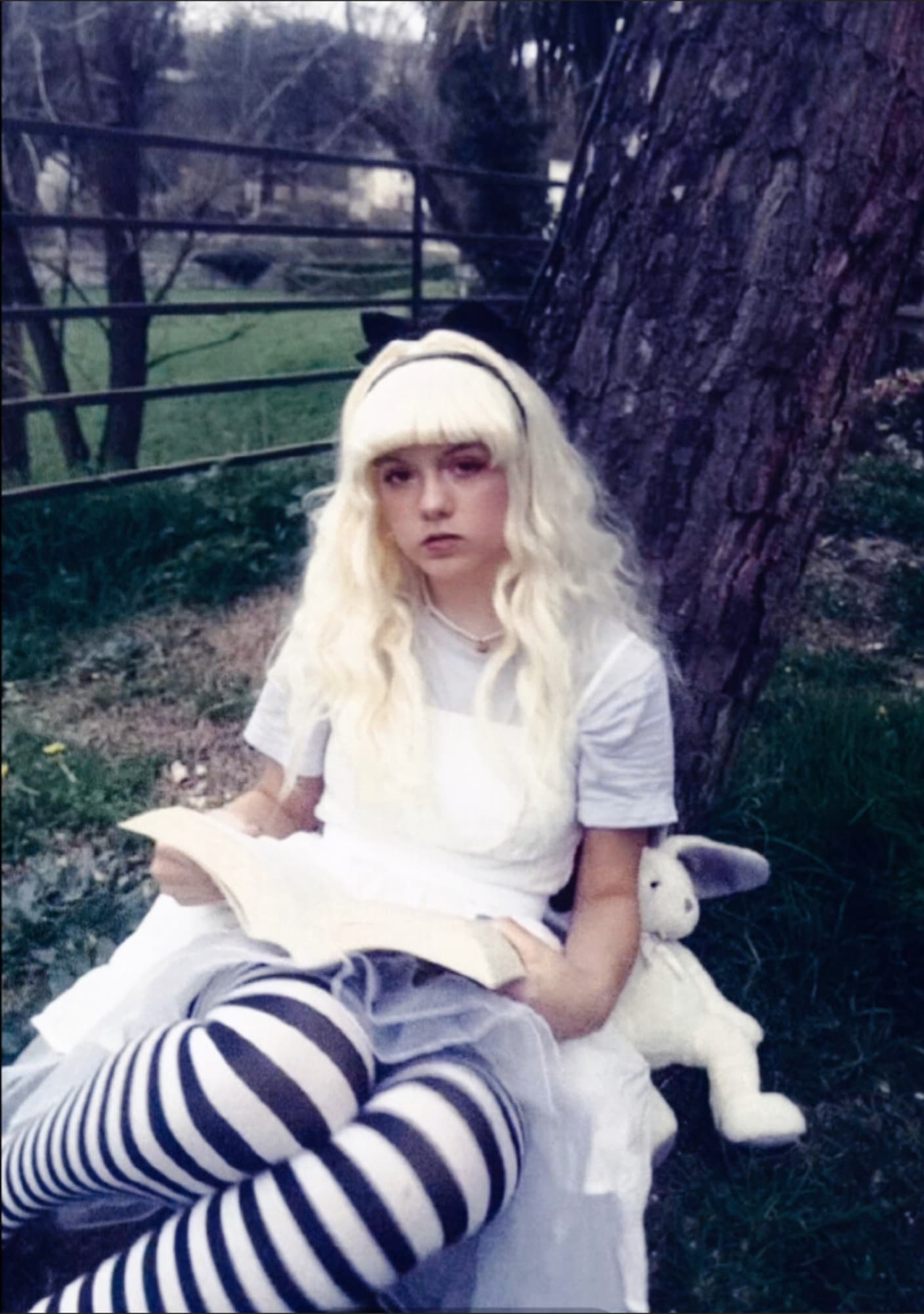 ALICE  - Photo 14