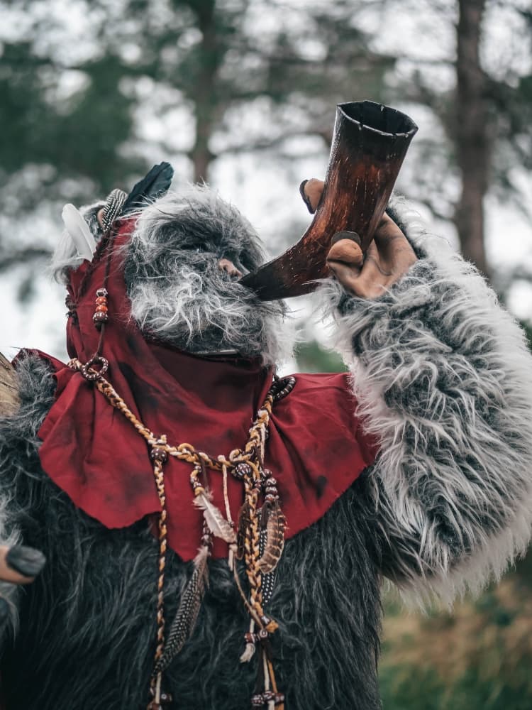 Forest Shooting - Photo 6