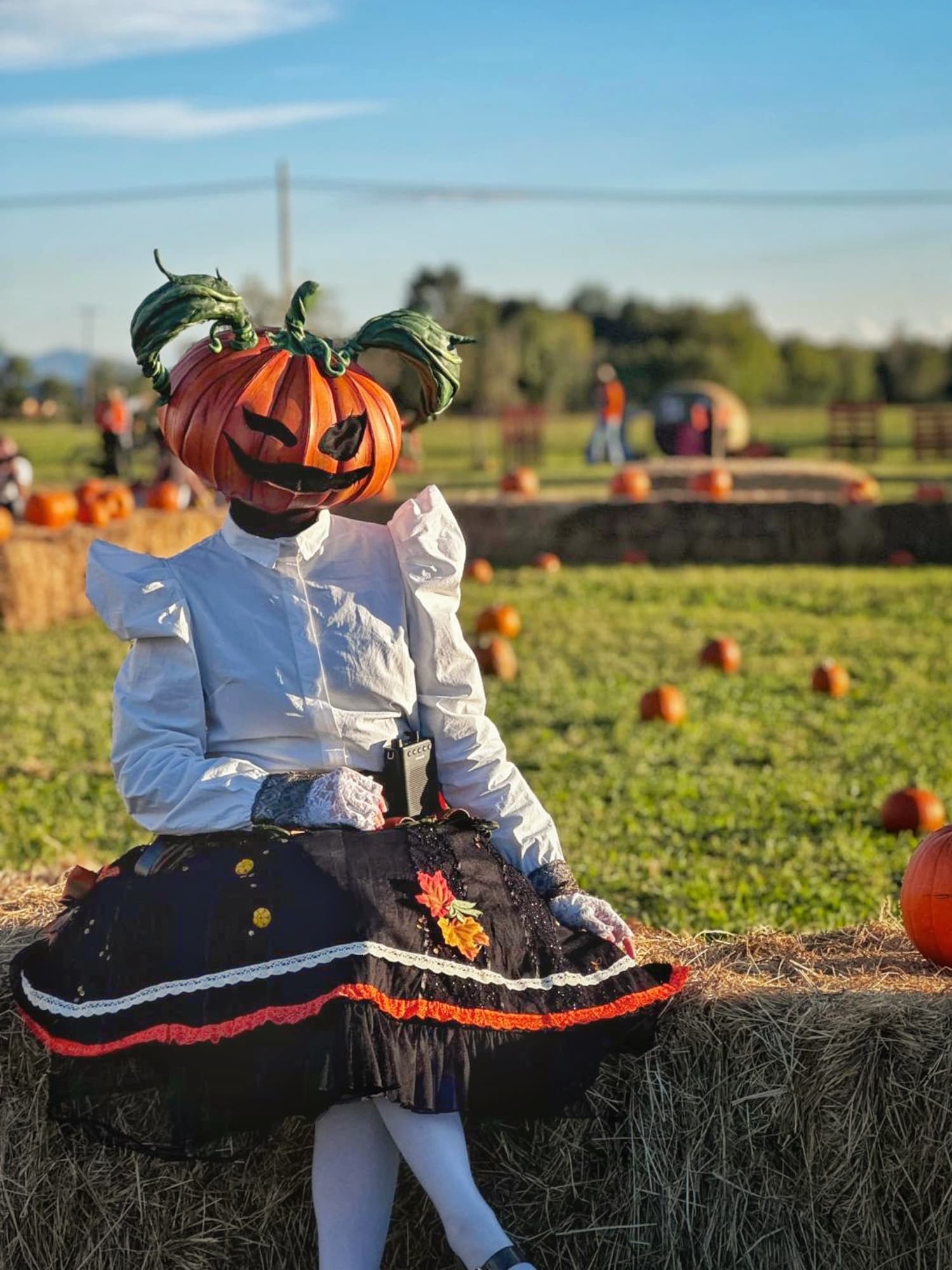 Lady Pumpkin  - Photo 1