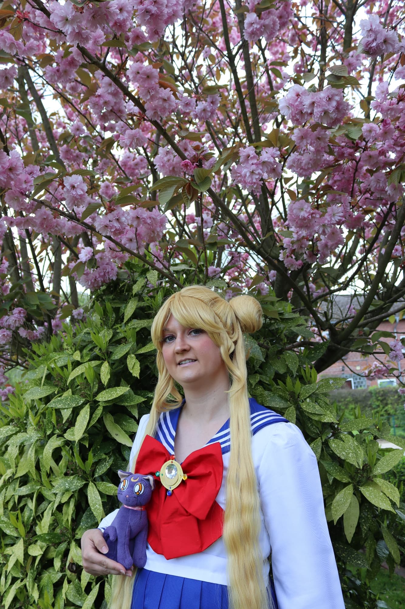 Usagi Tsukino  - Photo 31