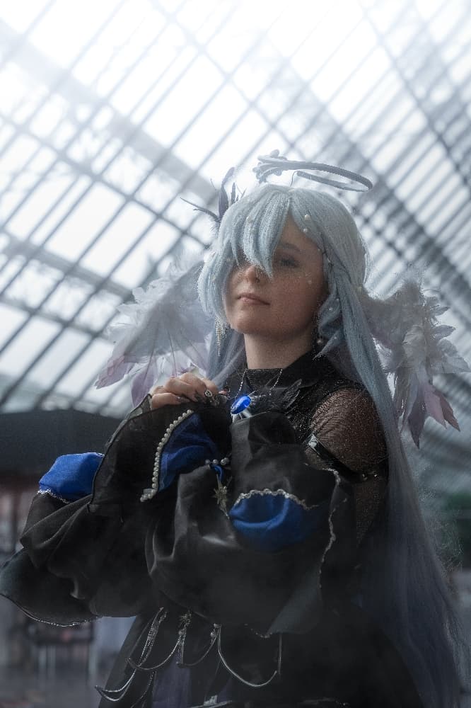 Robin japex 2025 - Photo 1