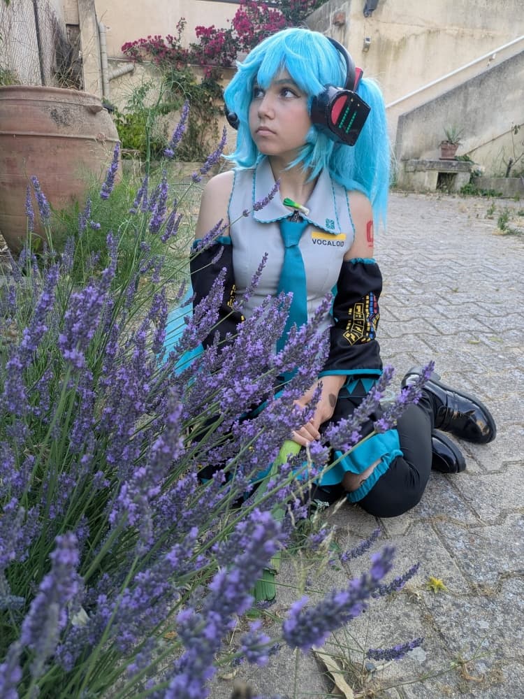 Hatsune Miku 6/25 - Photo 10