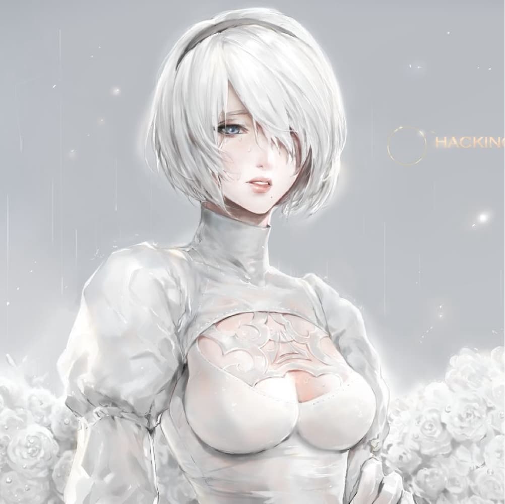 2b  - NieR cosplay photoshoot cover