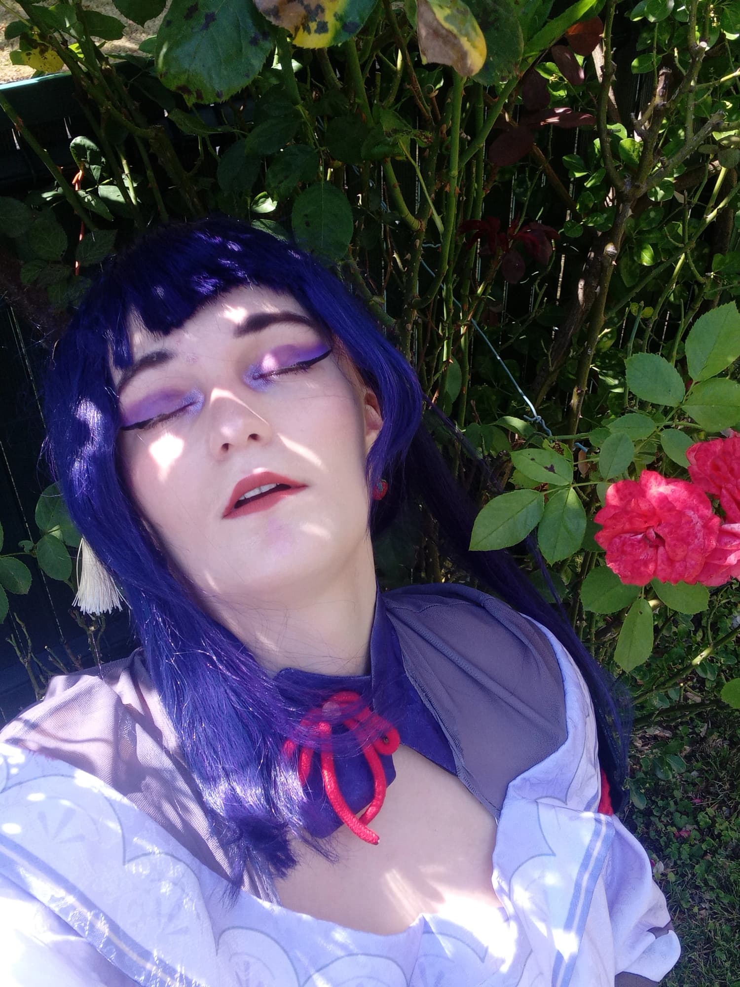 Shoot Raiden v2 - Photo 13