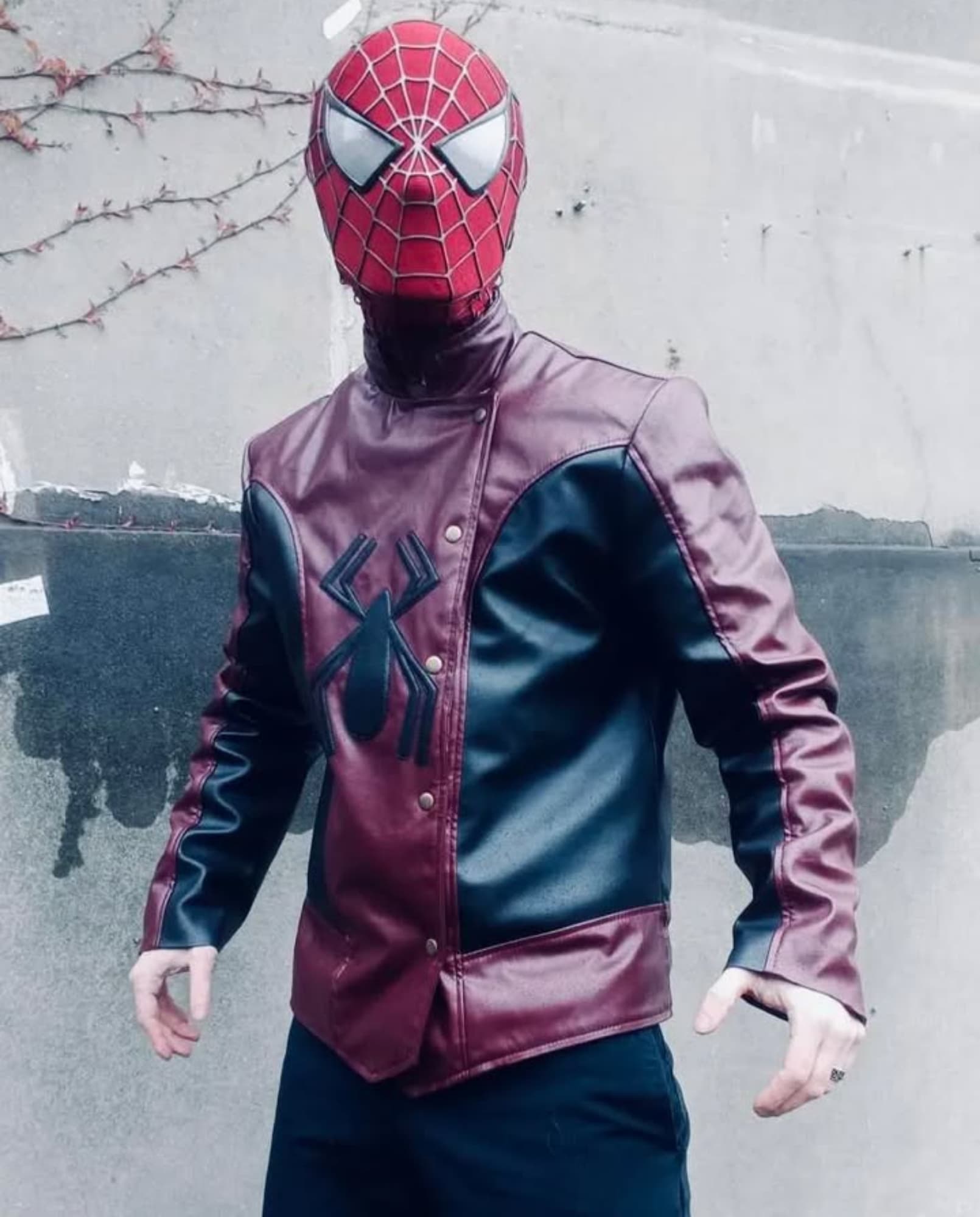 Spiderman Last Stand - Photo 5