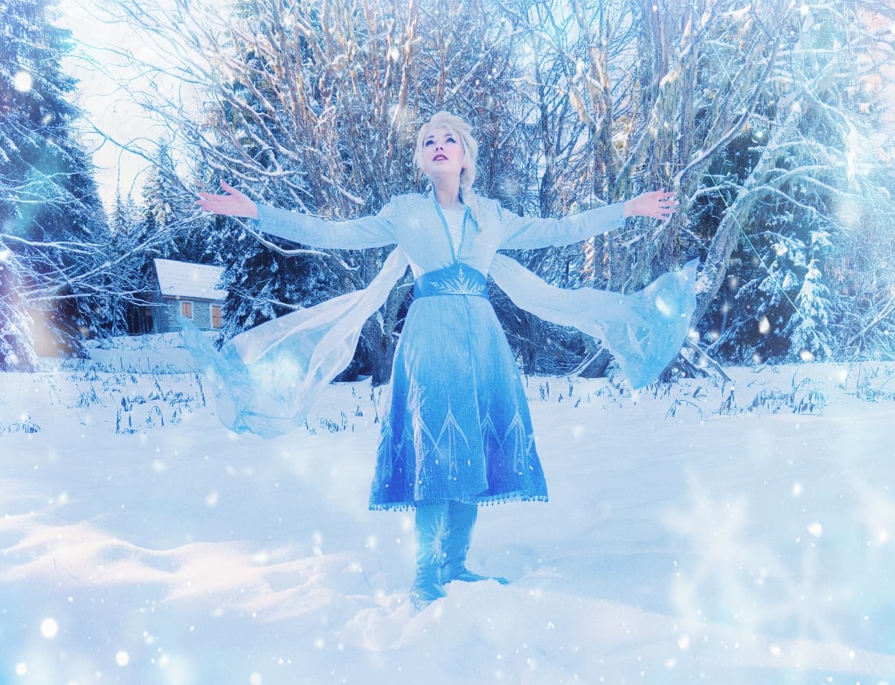 Elsa - Frozen2 - Photo 14
