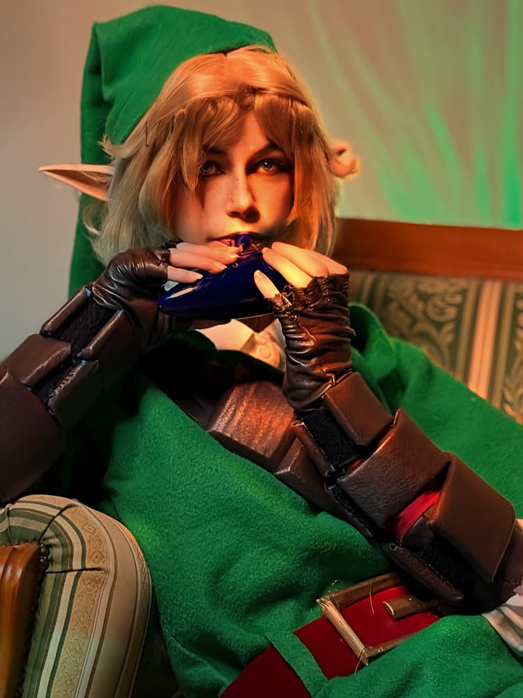 🗡️ || Link - Photo 1