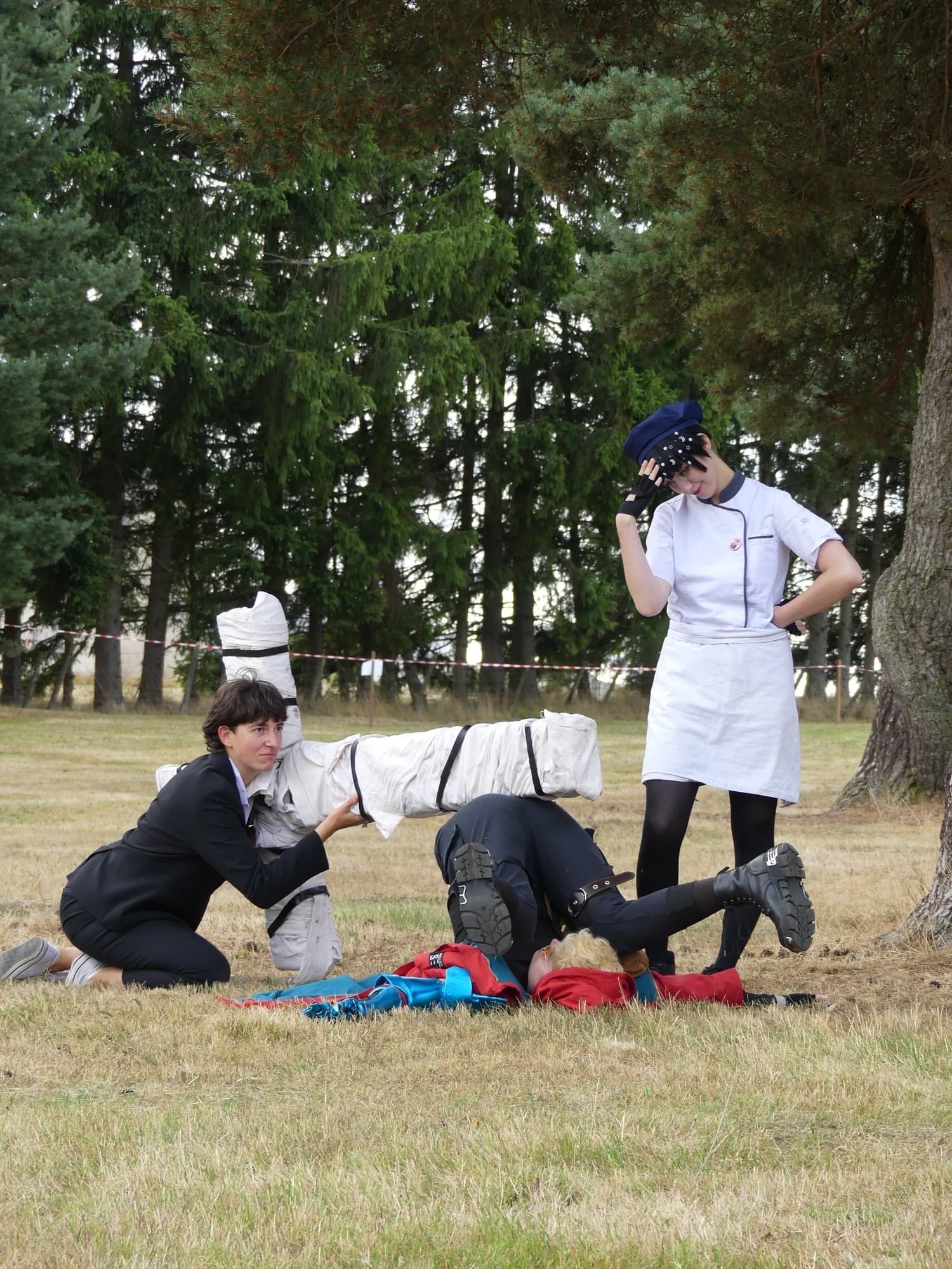 Gevaudan pop culture - Photo 5