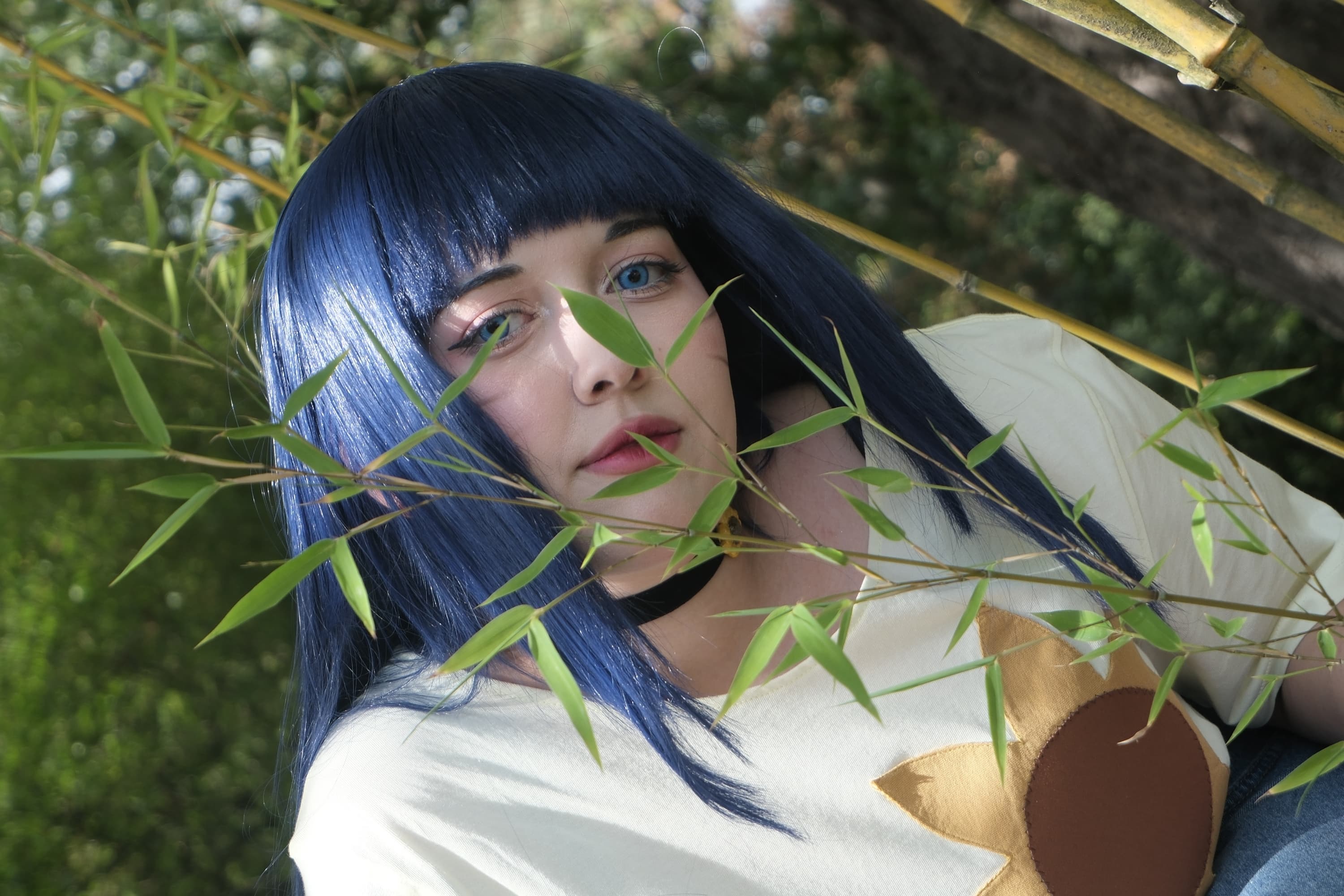 Himawari  - Photo 19