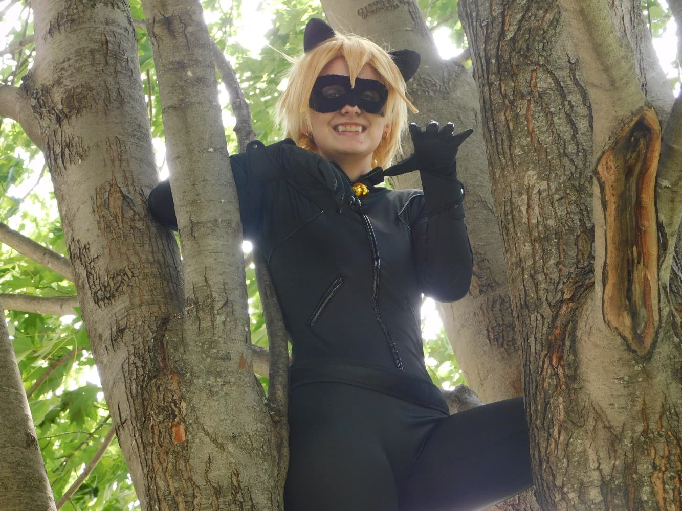 Chat Noir - Photo 29