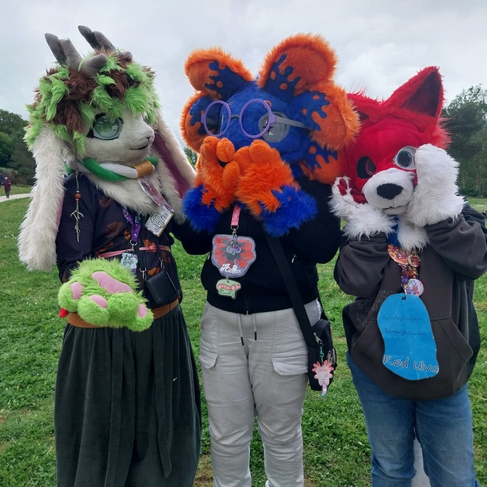 Stellar à japanante - Photo 1