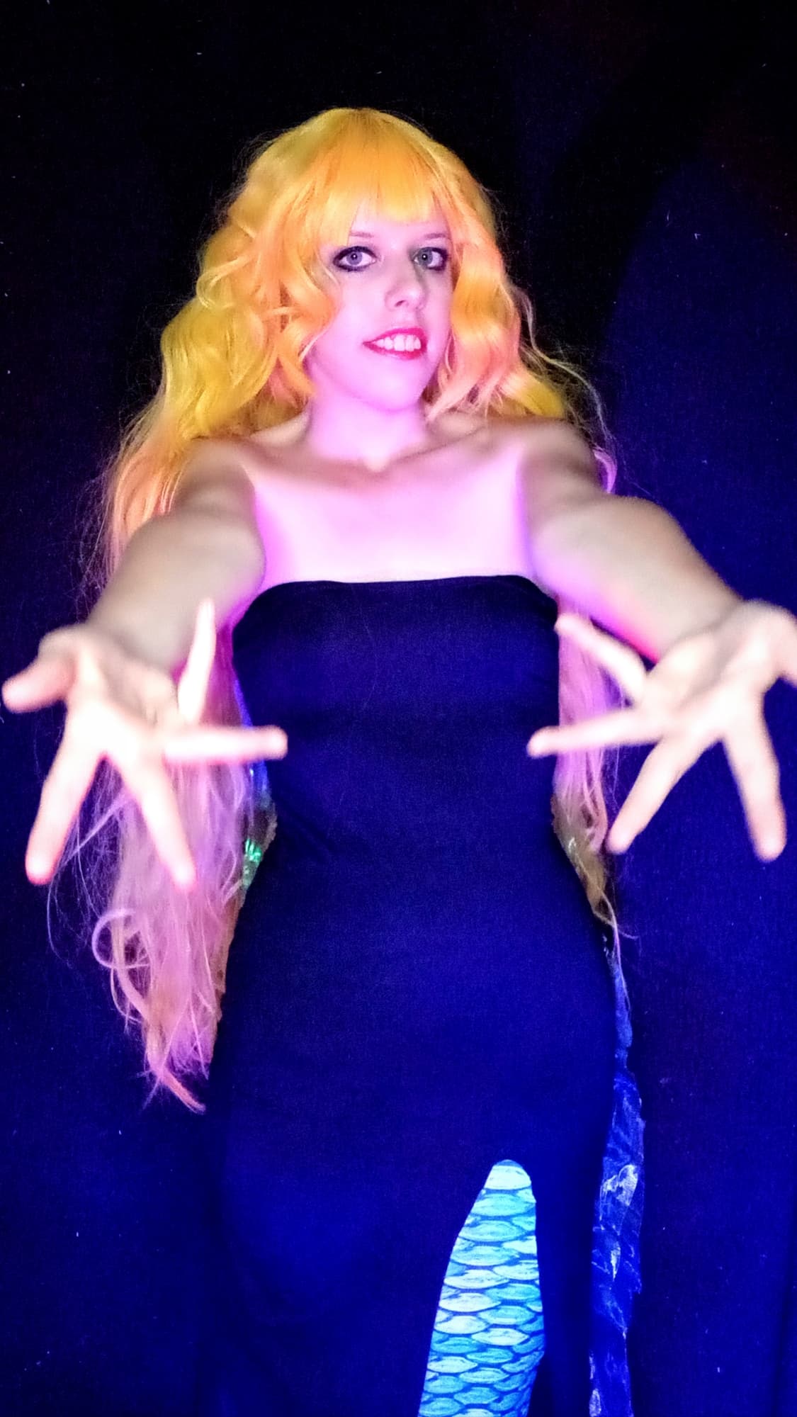 Angel Fish  - Photo 4