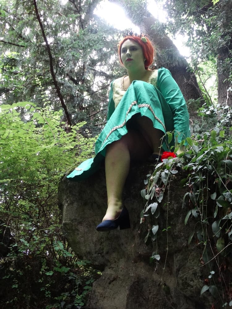 Fiona (shrek) - Photo 4