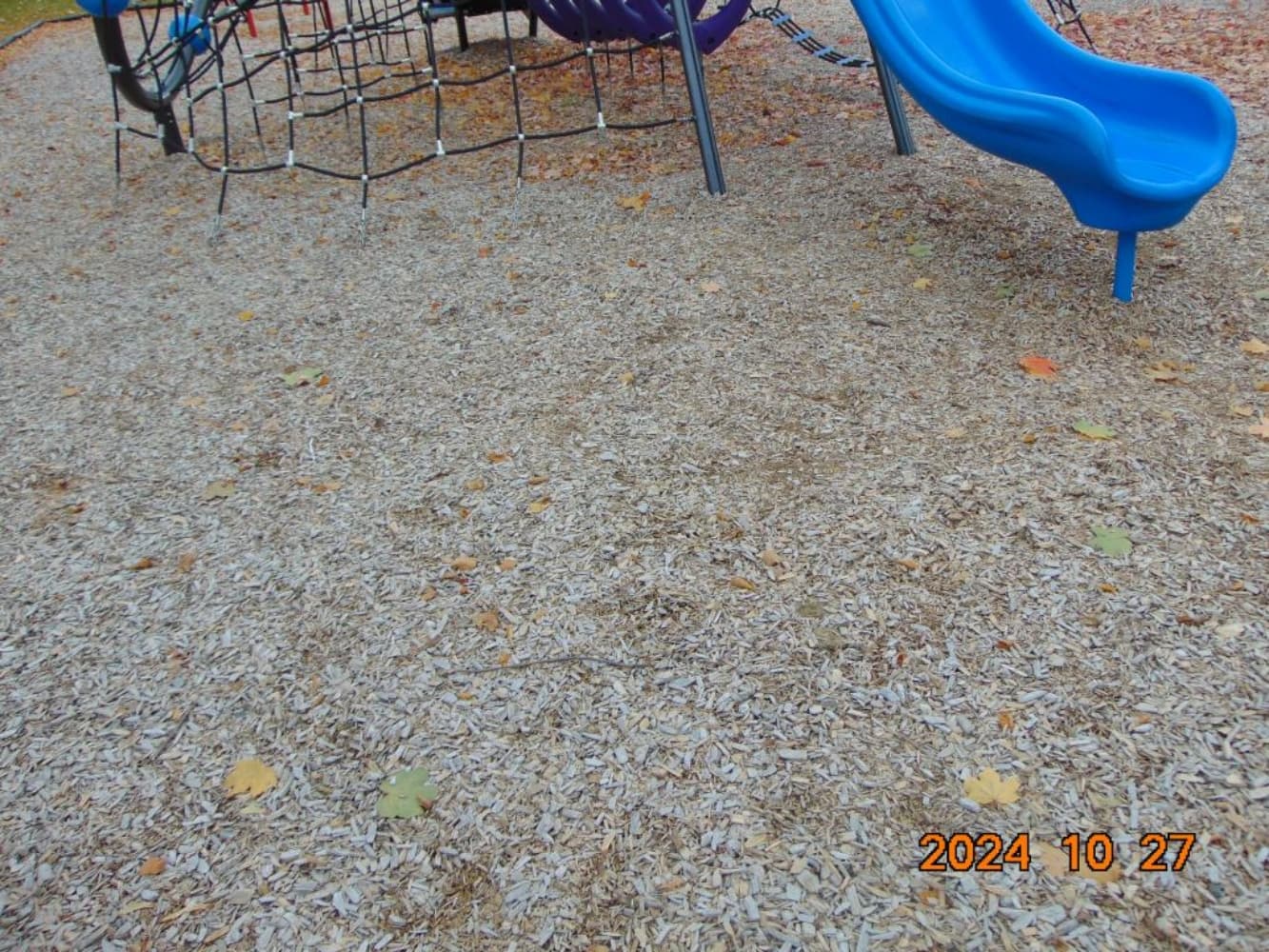 Chaotic Powder Doll - Photo 13