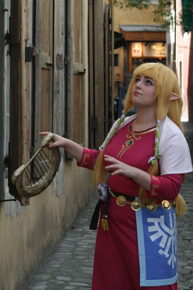 Zelda Skyward Sword  - Photo 28