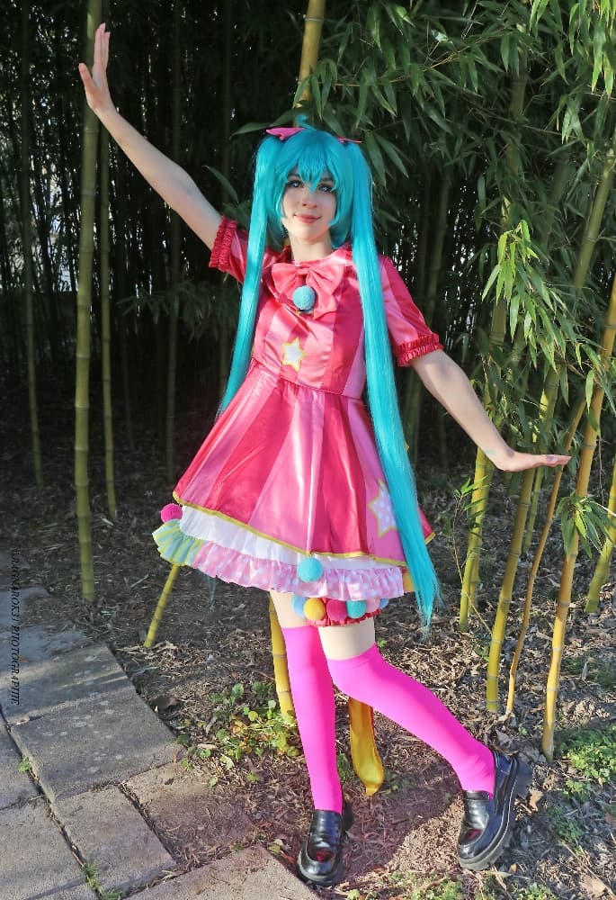 Miku wxs - Photo 6