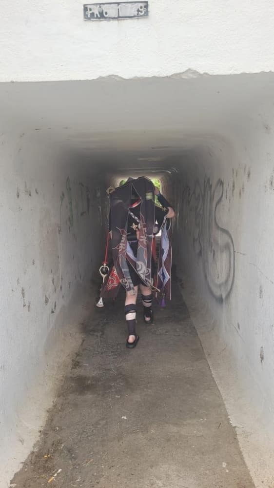 Scaramouche  - Photo 2