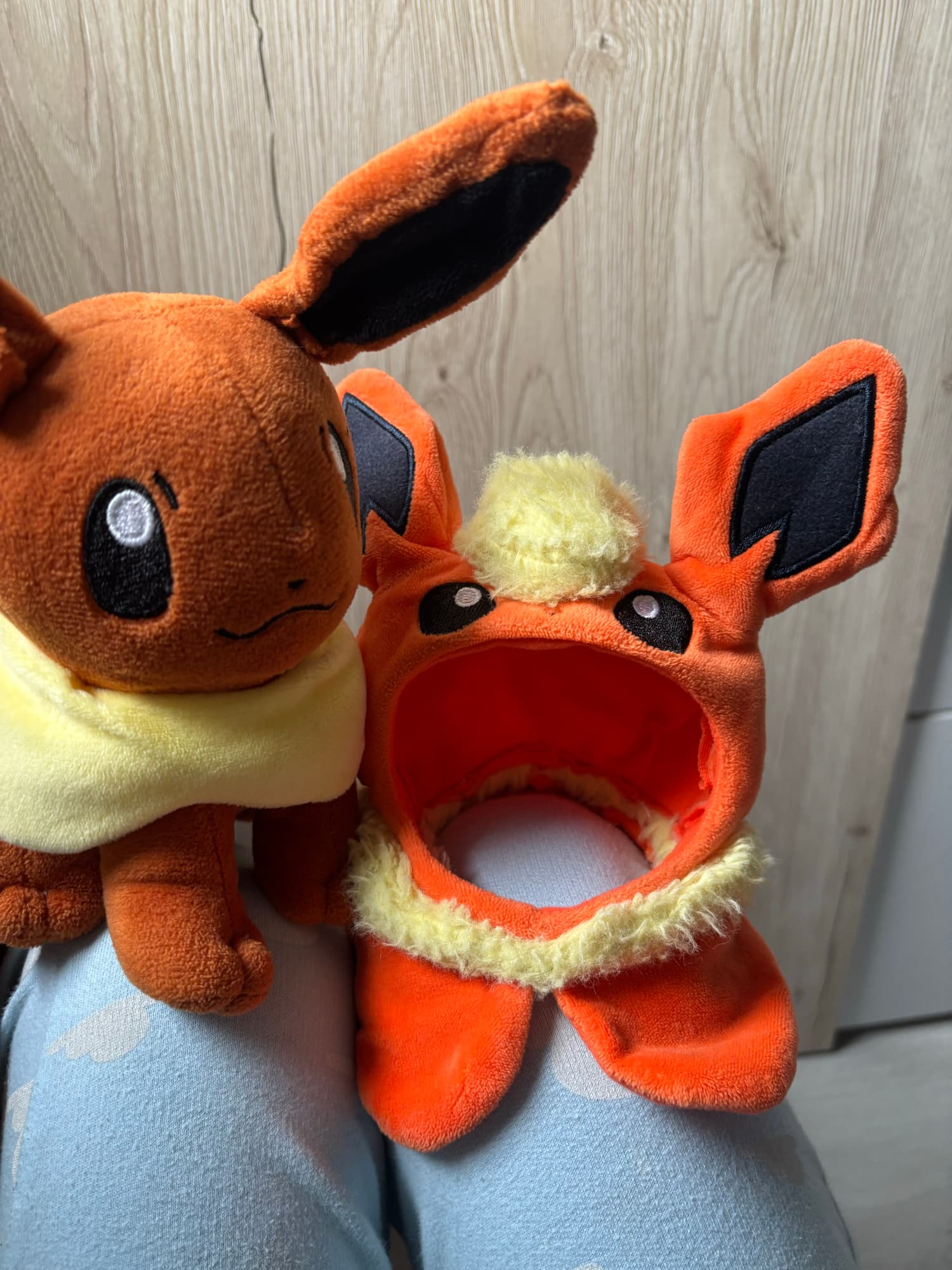 Evoli en Pyroli  - Photo 14