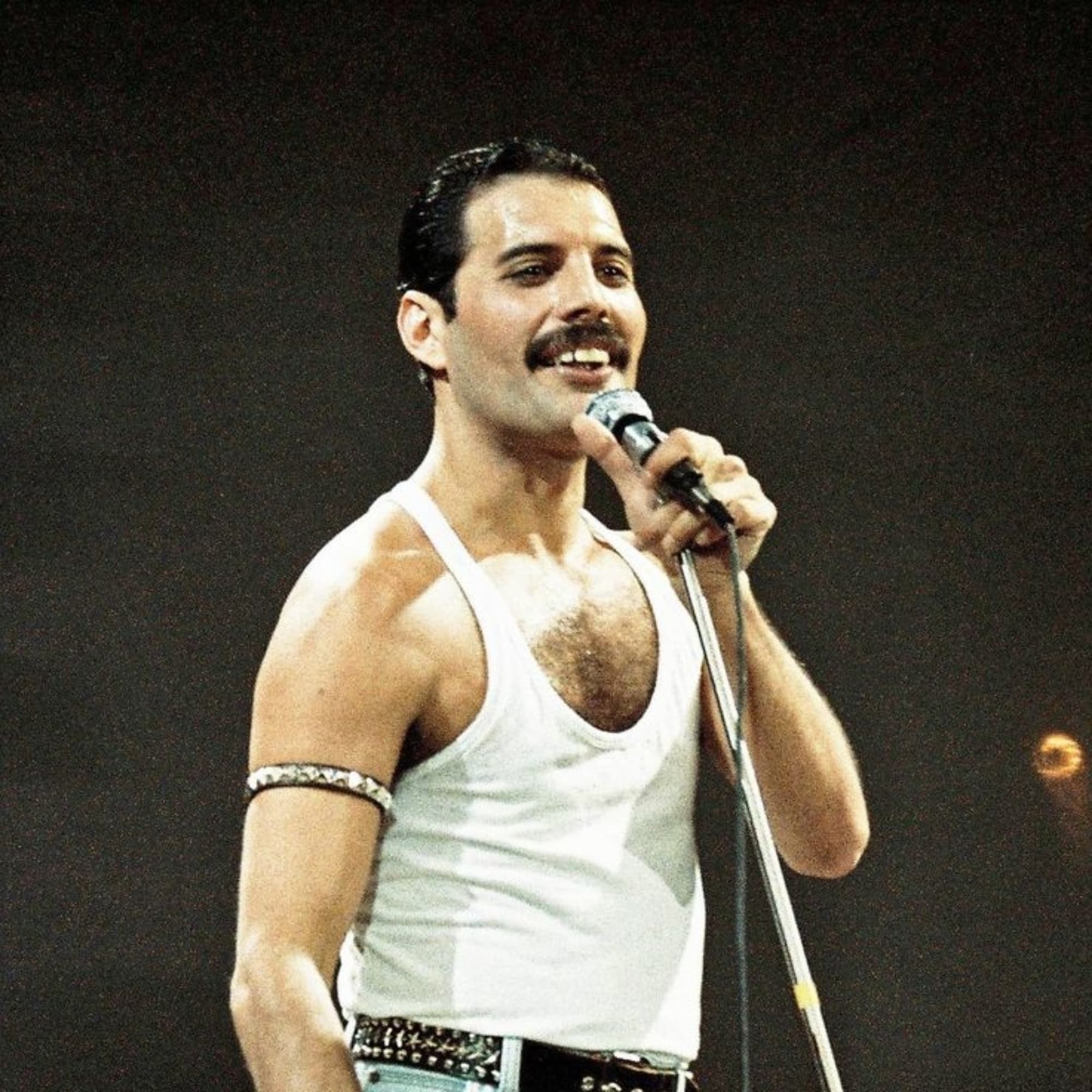 Freddie Mercury 