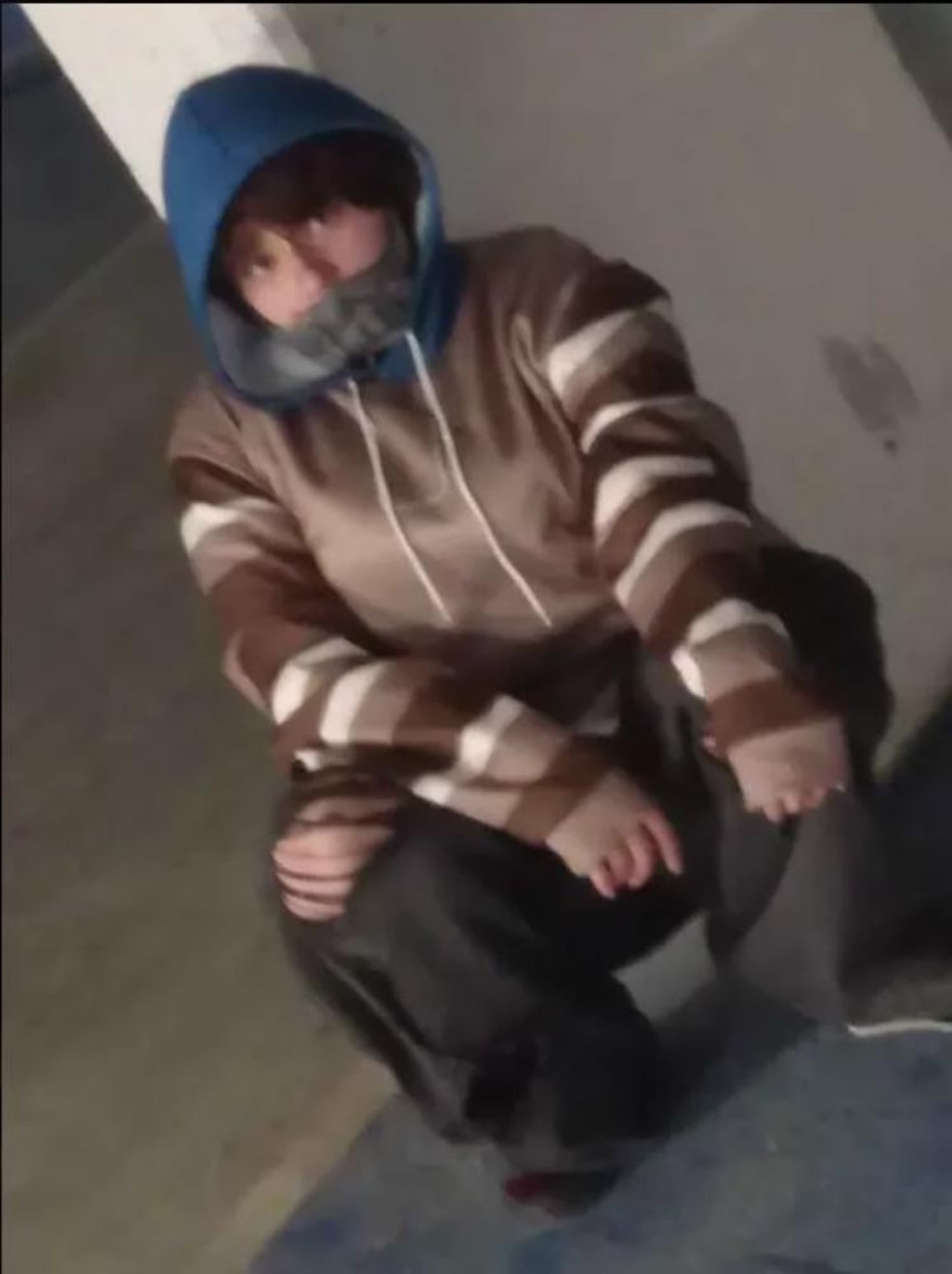 Ticcy toby - Photo 8