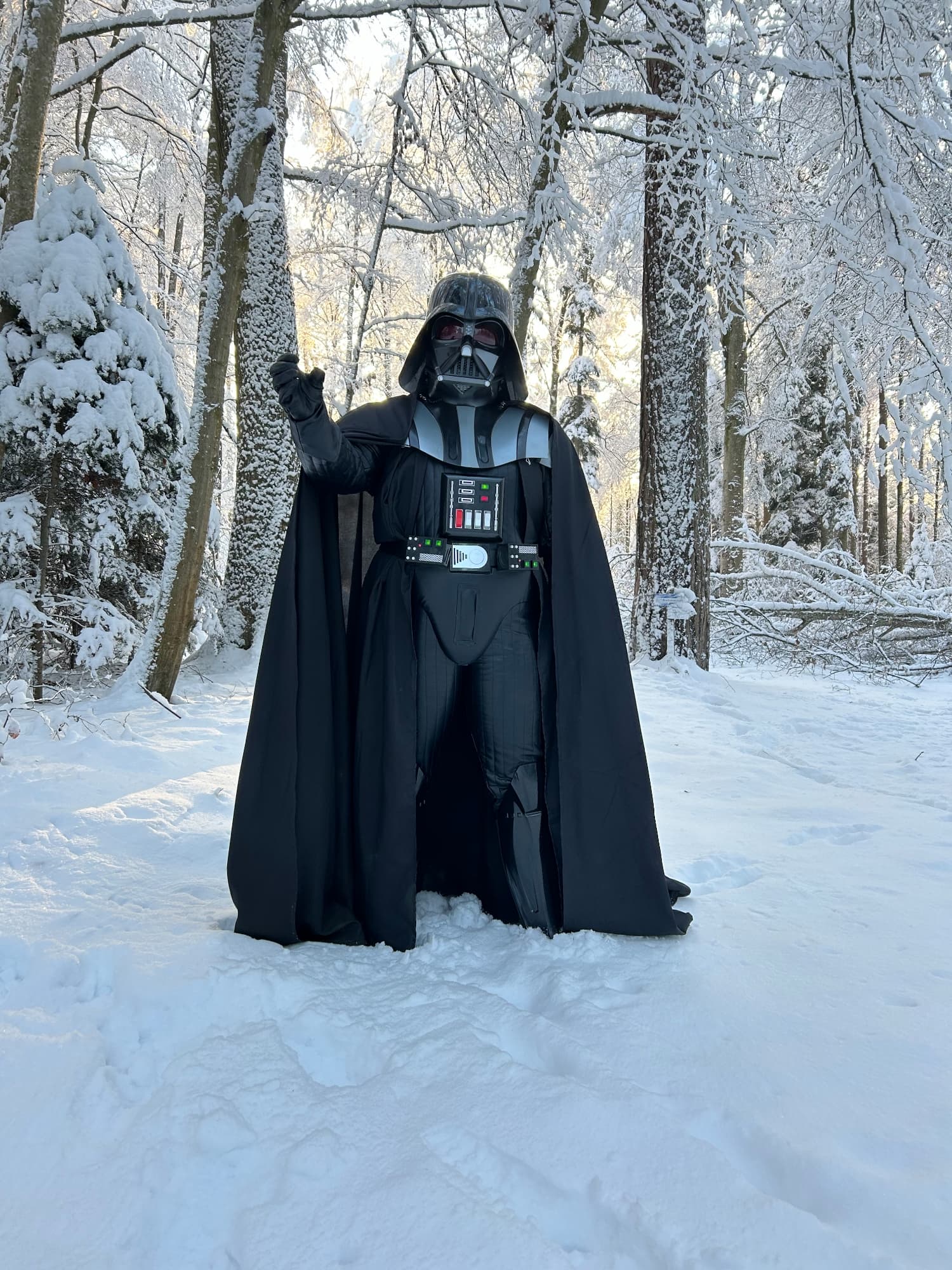 Snow Vader - Photo 30