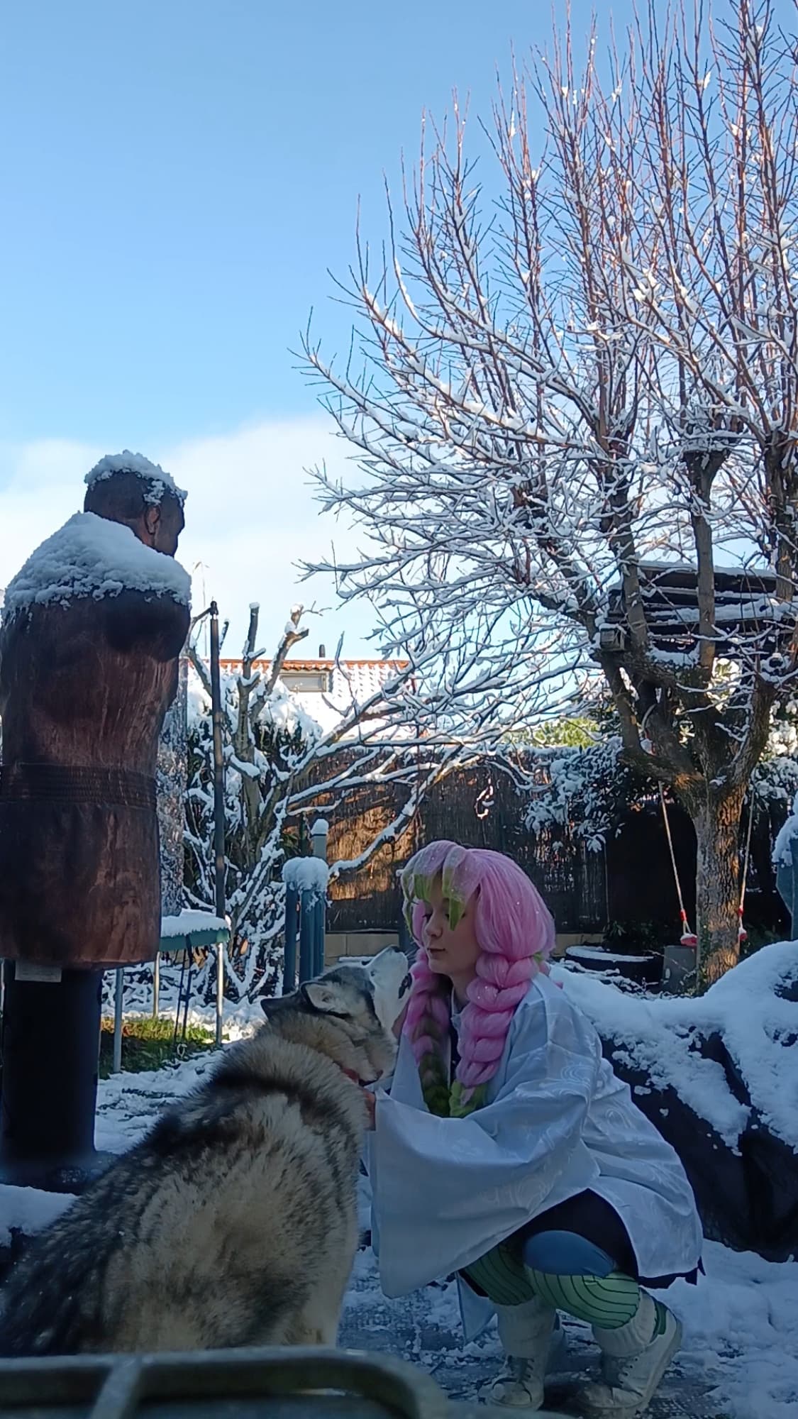 Mitsuri Kanroji - Photo 16