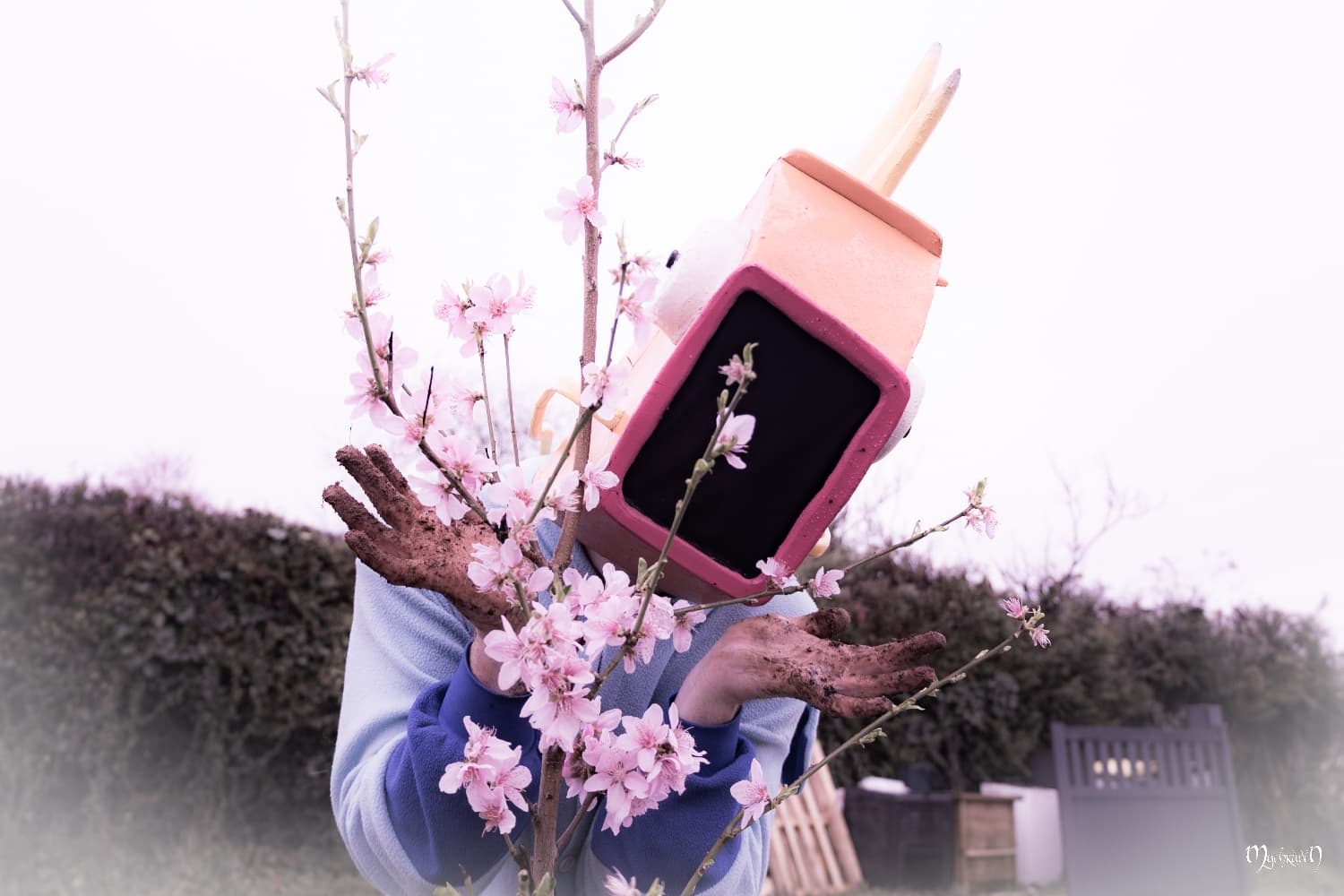 La plantation  - Photo 7