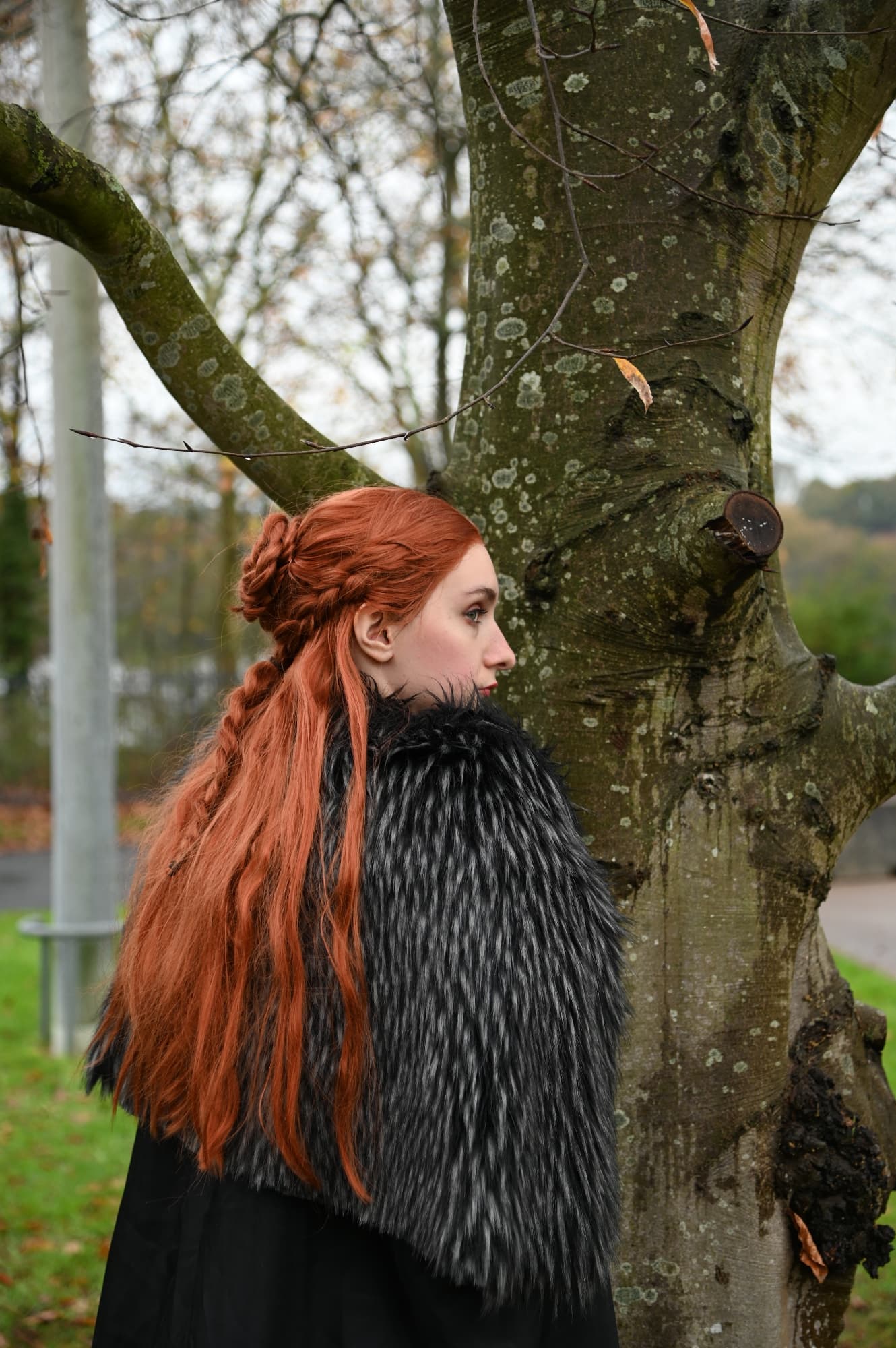 Sansa Stark - Photo 6