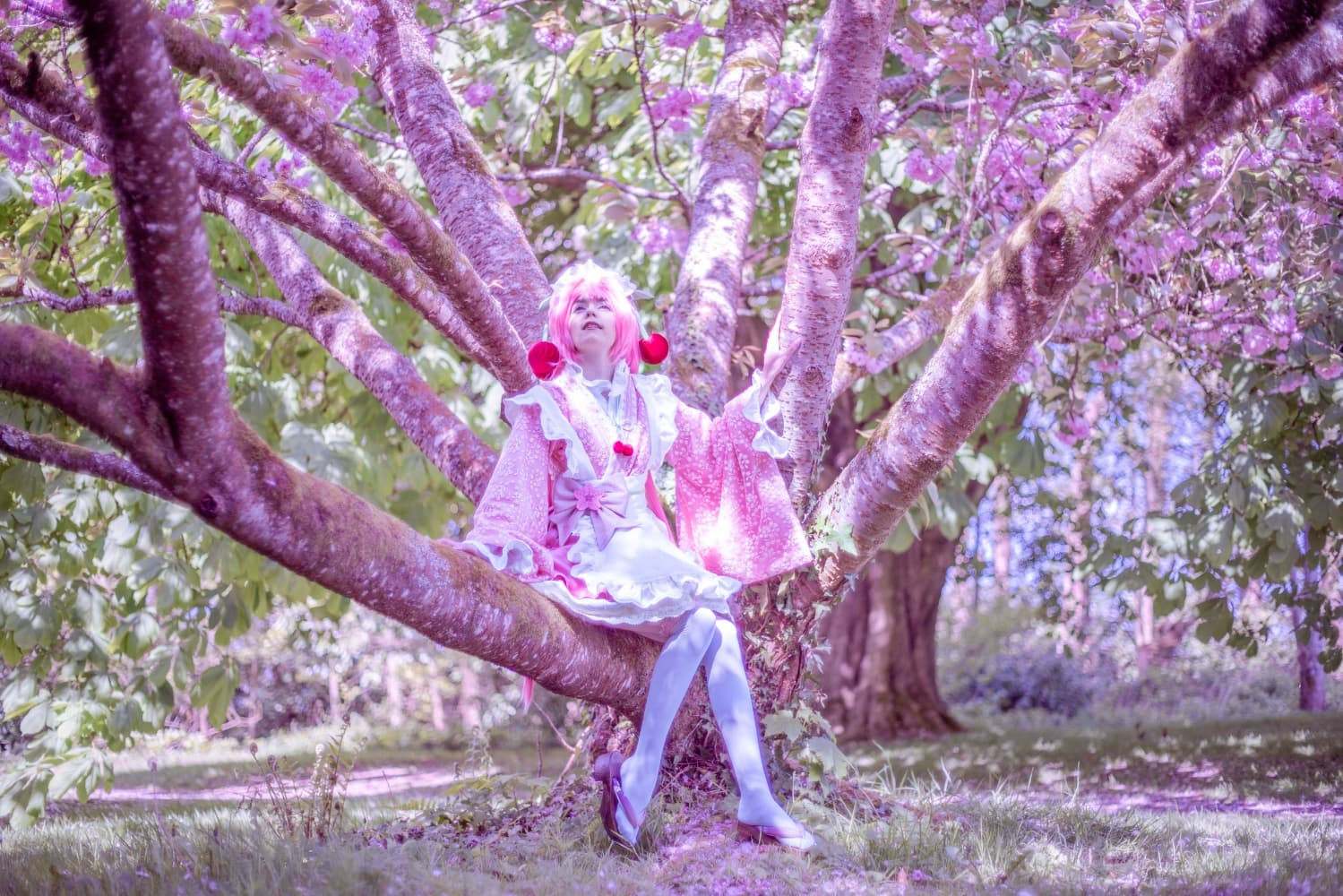 Sakura Miku -Hanami- - Photo 1