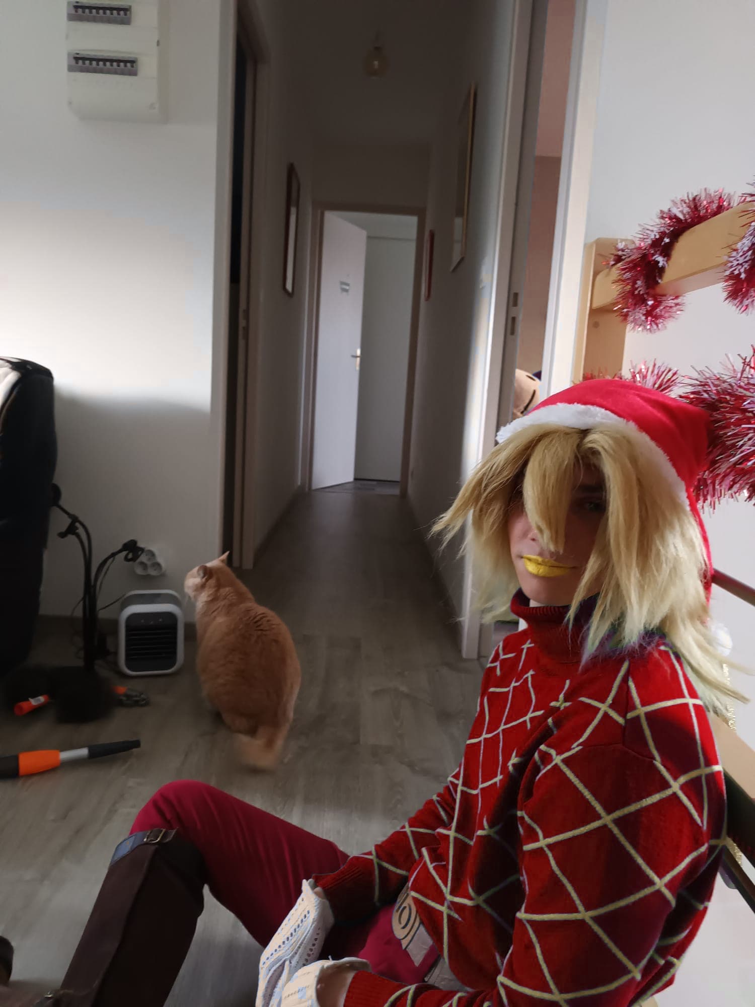 Diego Brando Noël - Photo 4