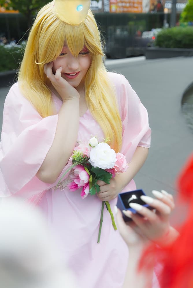 Bowser et Peach - Photo 4