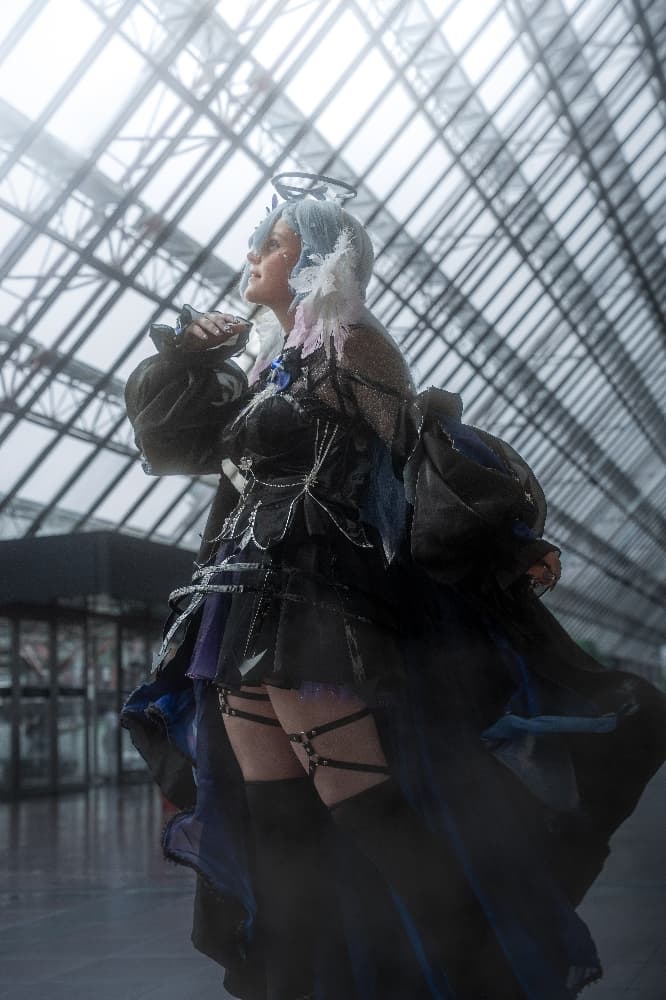 Robin japex 2025 - Photo 3