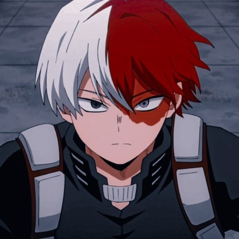 Shoto Todoroki
