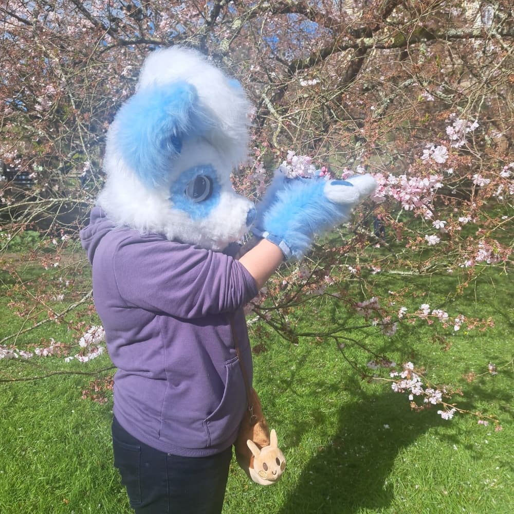 Titan (V2) - Photo 6