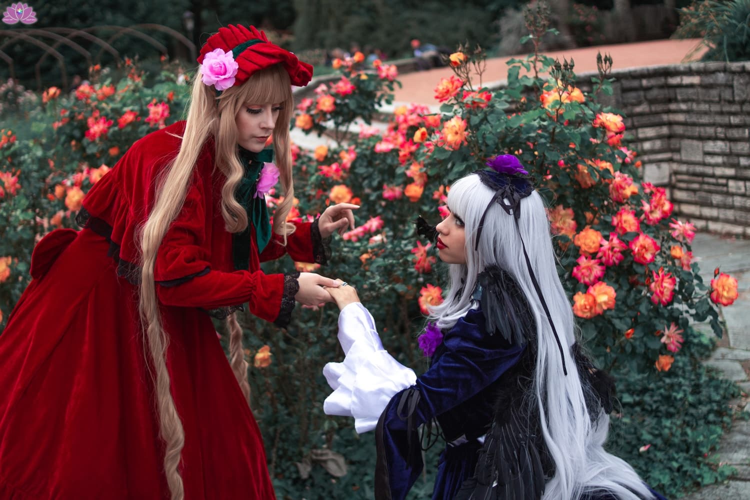 Duo rozen maiden - Photo 3