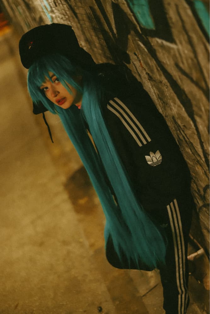 Miku de l’Est 1 - Photo 7