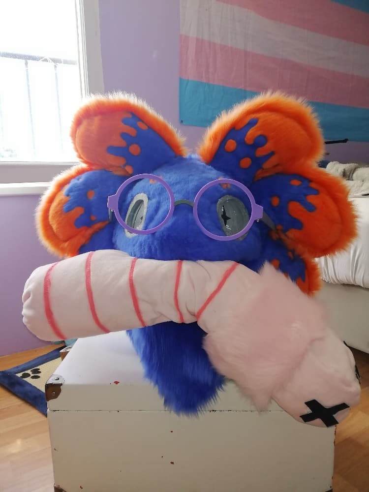 Stellar v2 - Photo 1