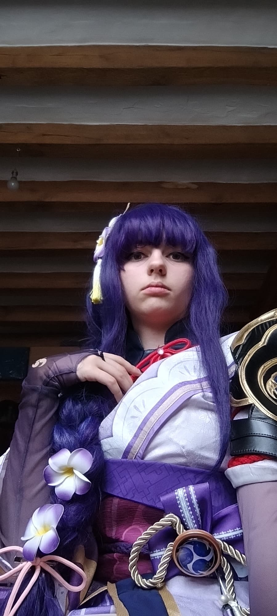 Raiden shogun  - Photo 14